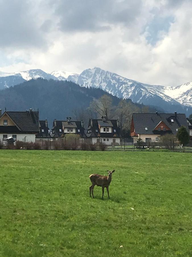 Villa Jumper Widok Na Cale Tatry Lazienka Nie Jest W Pokoju Zakopane Exterior photo